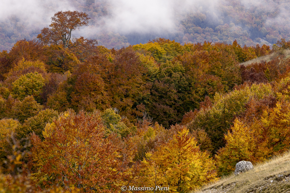10 Parco Nazionale d' Abruzzo
